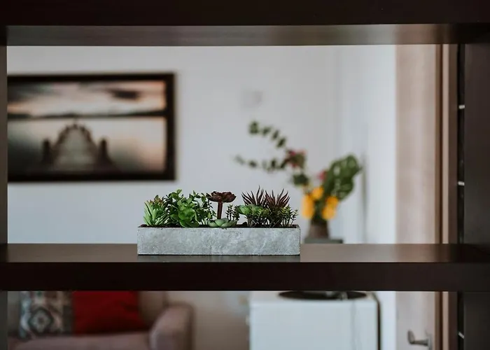 Apartment Ddhome Piazza Mazzini *